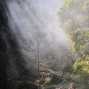 【花蓮縣文化局】花青攝影學會會員聯展：傳承的希望-封面